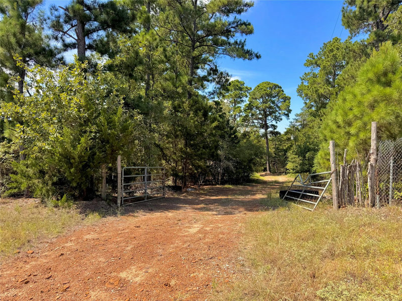 445 Pine Valley Loop — exterior
