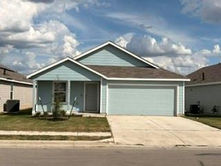 167 Northern Pintail — exterior