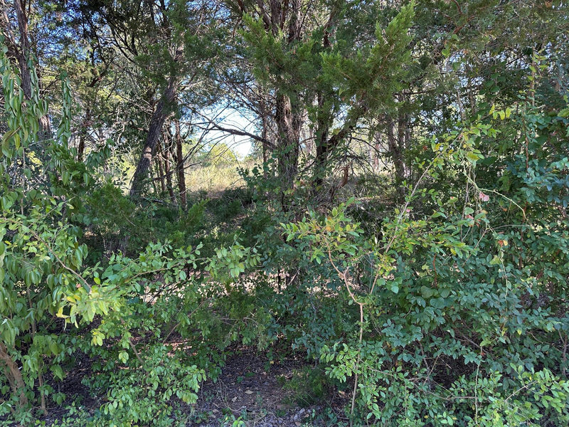 LOT 9 Robin Run — exterior