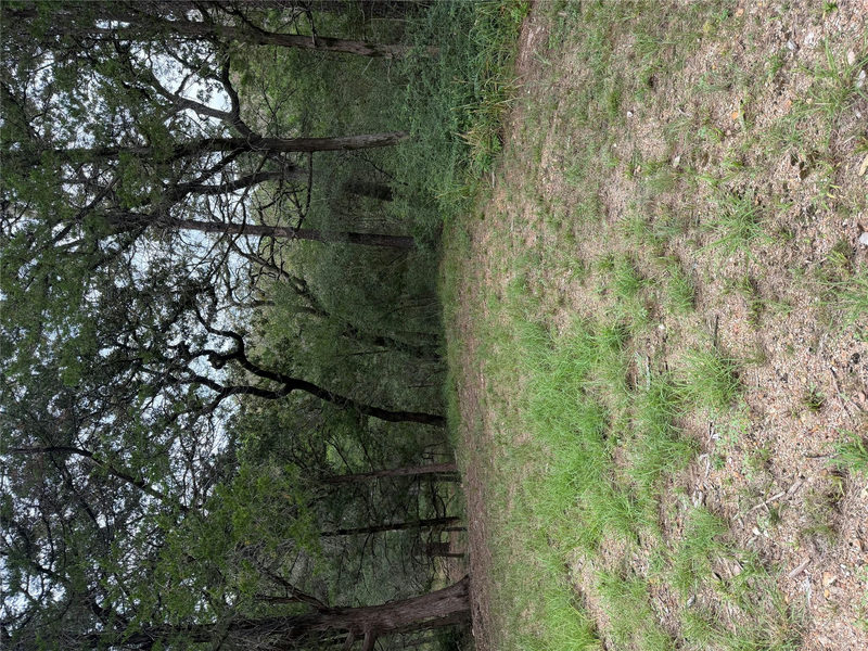 Lot 294 Aka Ct — exterior
