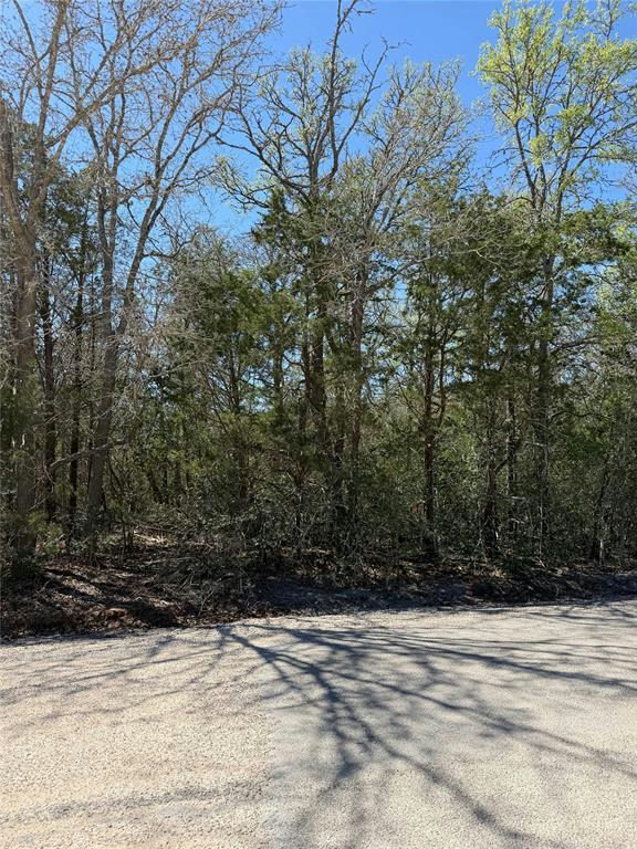 Lot 538 Iva Ln — exterior