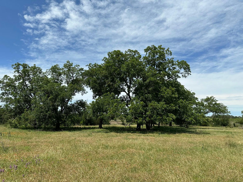 tbd 94ac County Road 330 — exterior