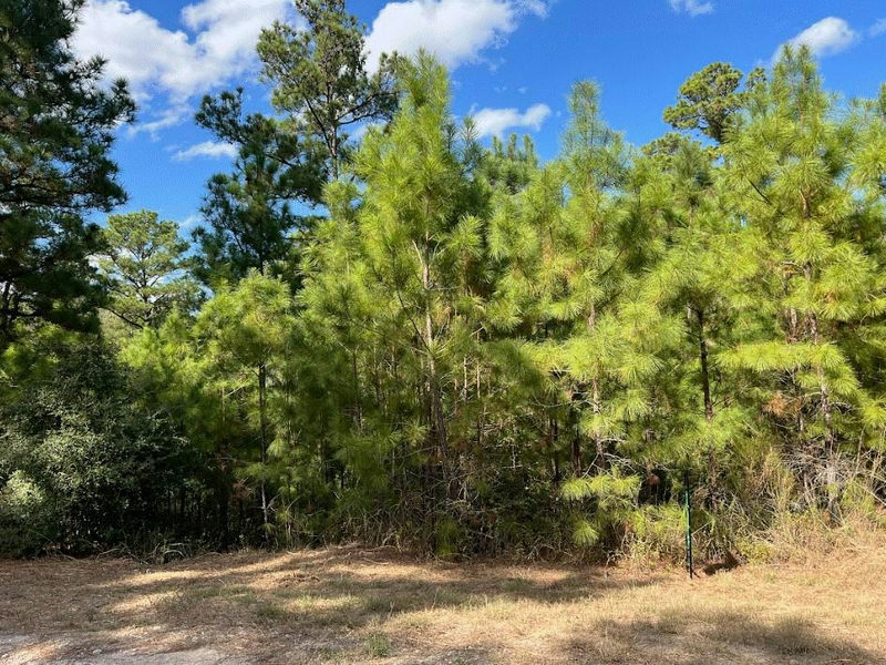 Lot 986 Kailua L Ln — exterior