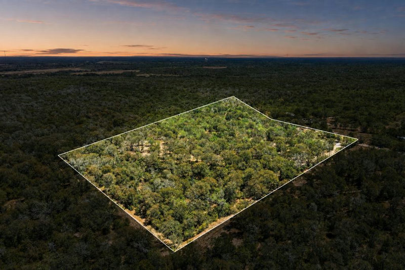 388 The Forest Rd — exterior