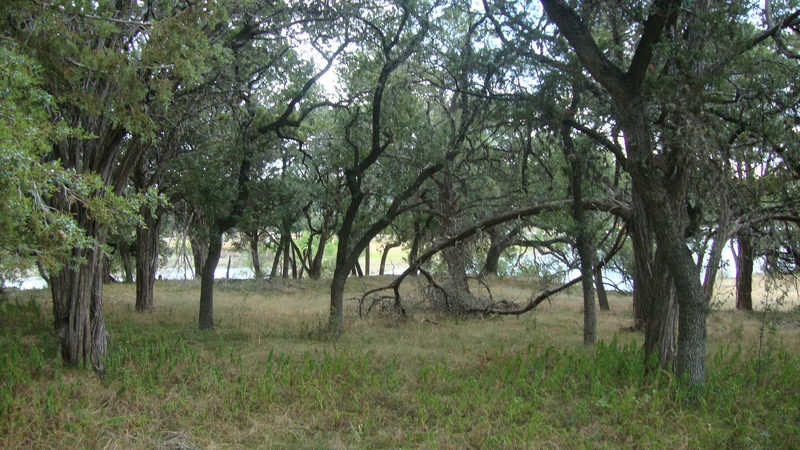 6703 Bar K Ranch Rd — exterior