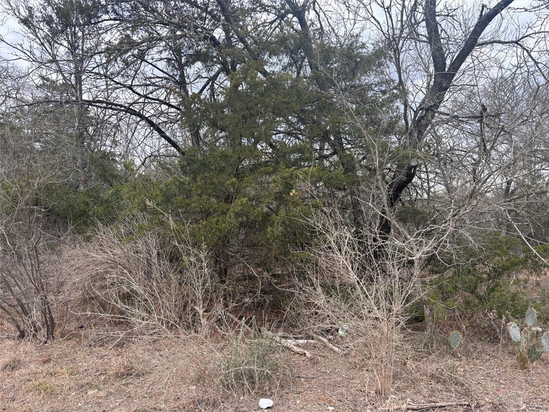 TBD Pearson Rd — exterior