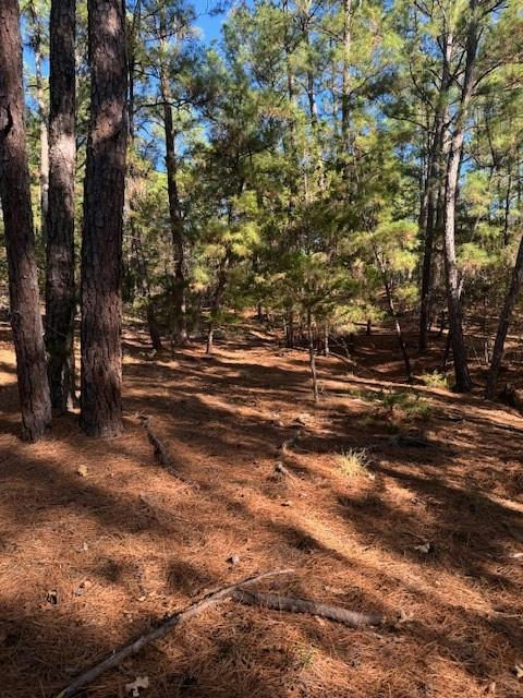 Lot 1395 Kaupa Ct — exterior