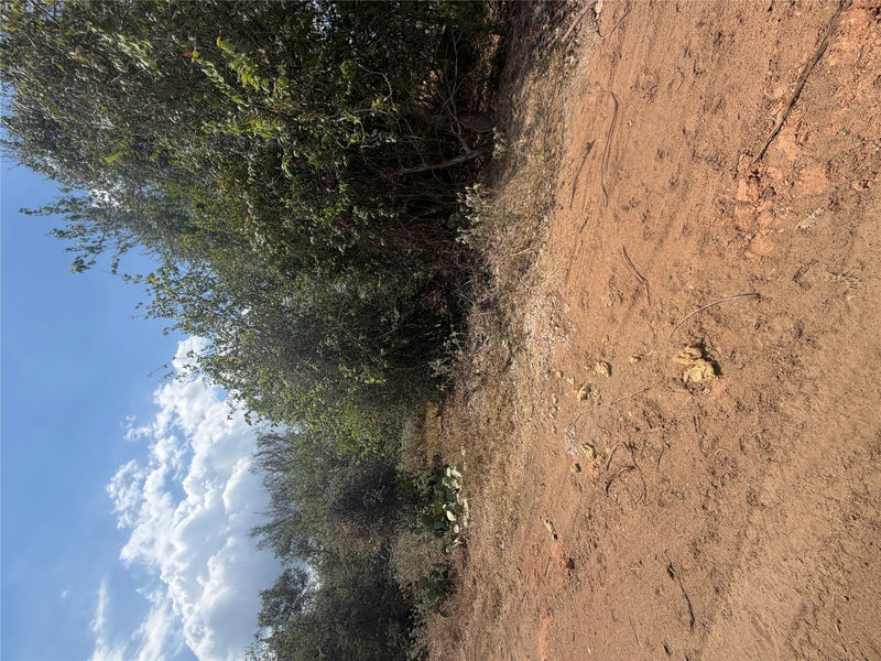 Lot 732 Waimanalo Ln — exterior