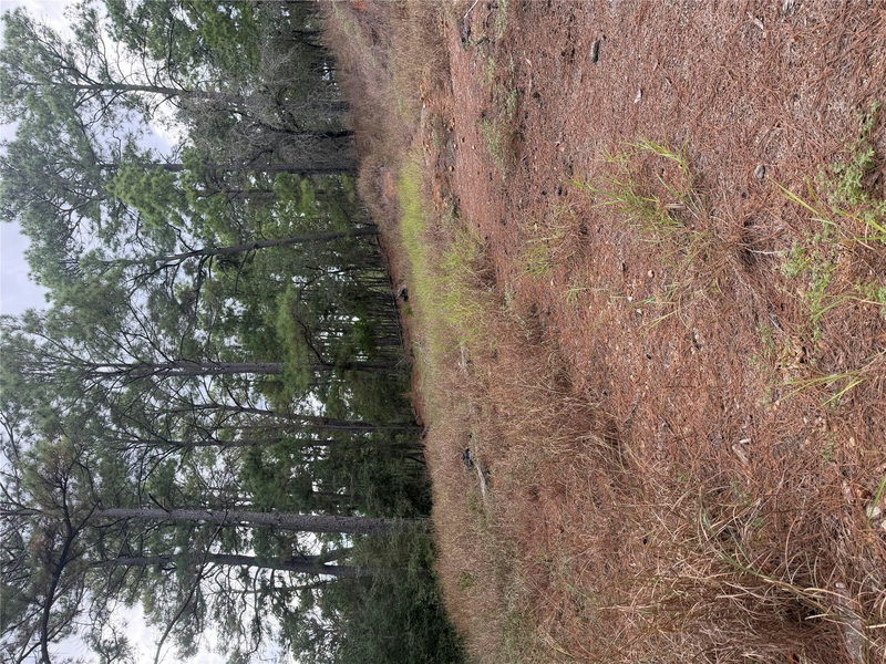 Lot 69 and 70 Taro Ct — exterior