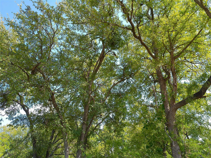 Lot 33 Serenity Dr — exterior