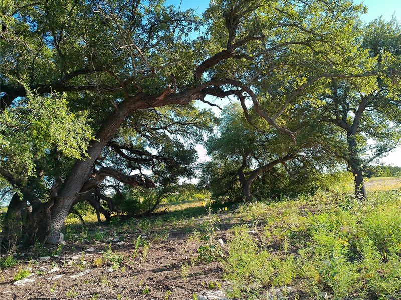 Lot 42 Serenity Dr — exterior