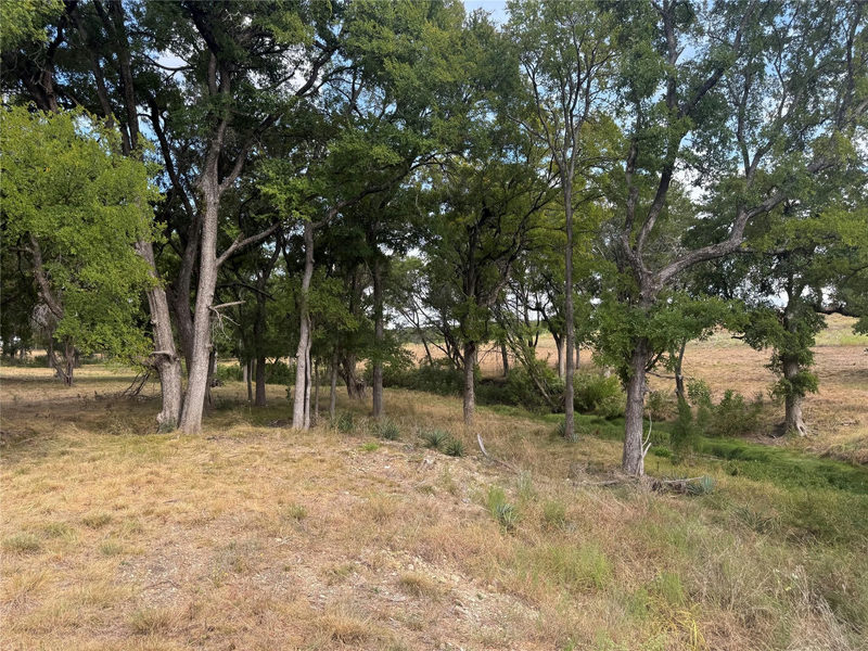 TBD Tract 6 County Road 1320 — exterior