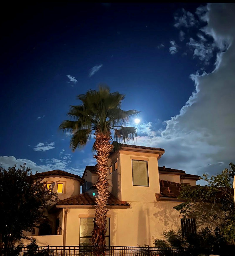 11617 Red Oak Valley Ln
