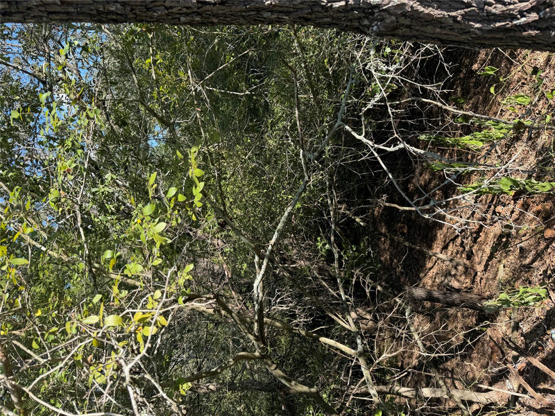 Lot 189 Kaelupulu Dr — exterior