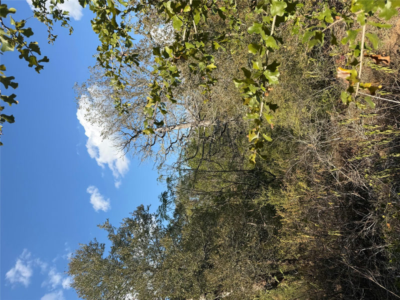 Lot 539 Palikea Cir — exterior