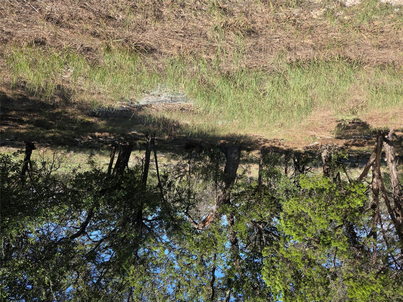 TBD Mountain Dew — exterior